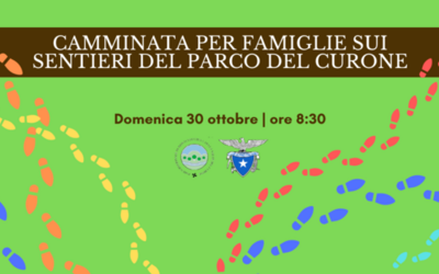 Immagine: Camminata-per-famiglie-sui-sentieri-del-Parco-del-Curone-2_reference