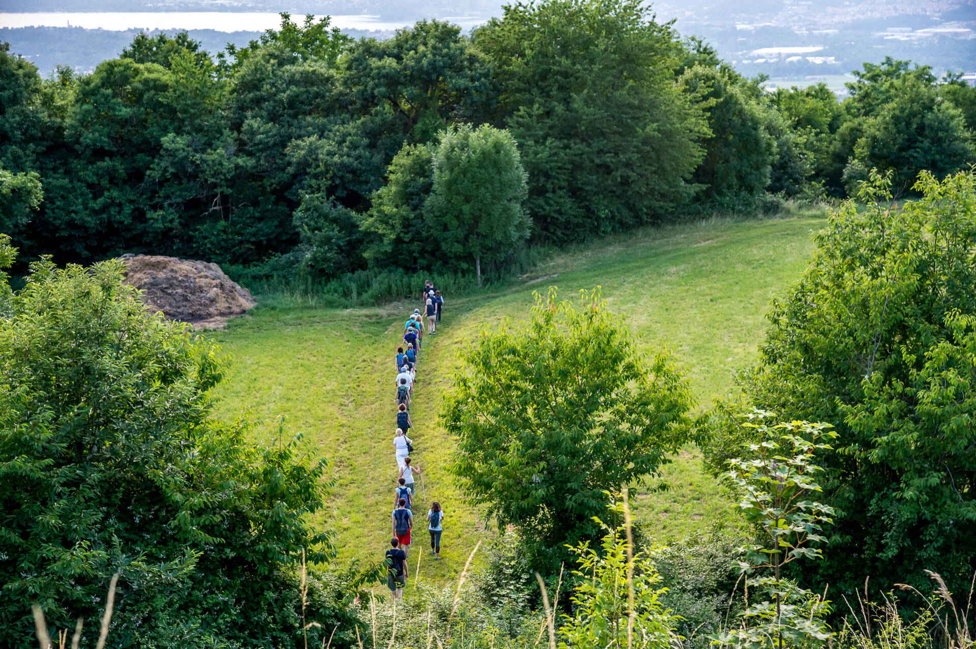 Immagine: DSC_6546_WEB